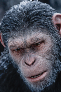 War for the Planet of the Apes